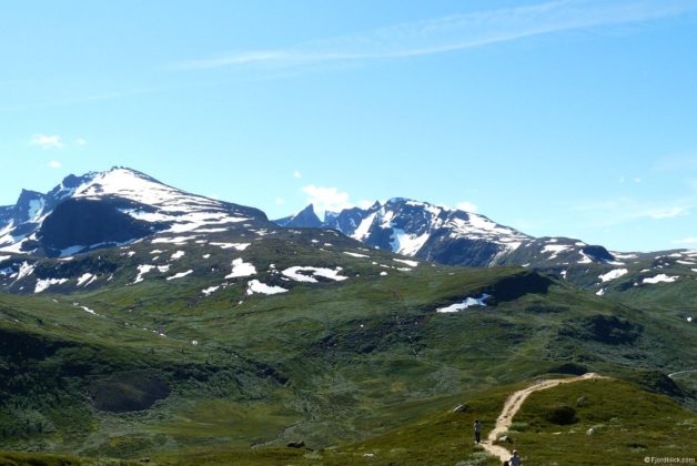 Sognefjellsvegen (Rv55)
