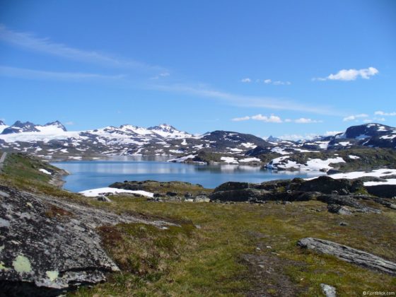 Sognefjellsvegen (Rv55)