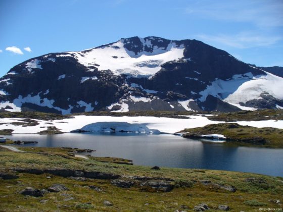 Sognefjellsvegen (Rv55)