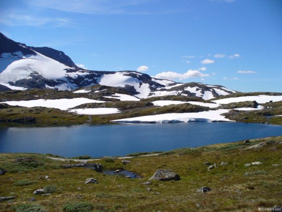 Sognefjellsvegen (Rv55)