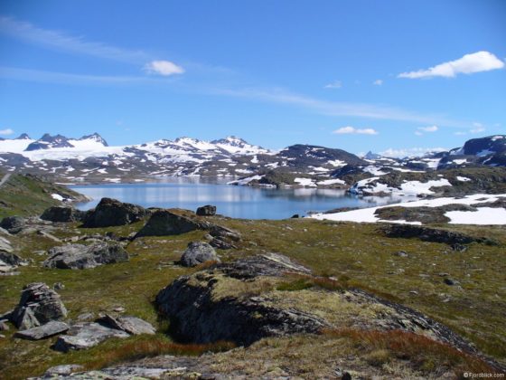 Sognefjellsvegen (Rv55)