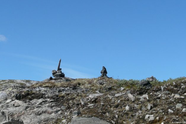 Sognefjellsvegen (Rv55)