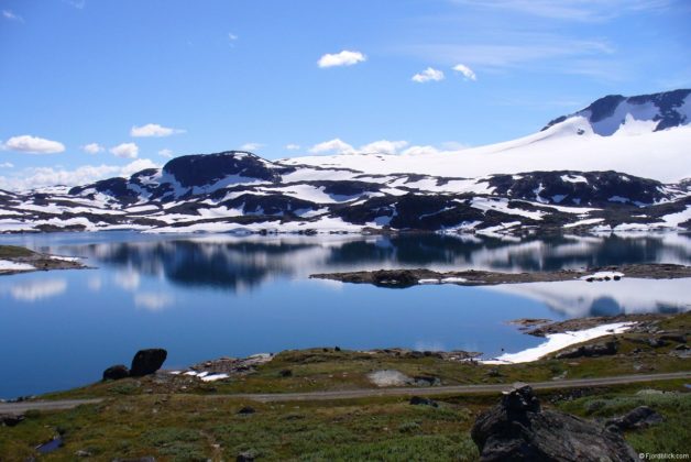 Sognefjellsvegen (Rv55)