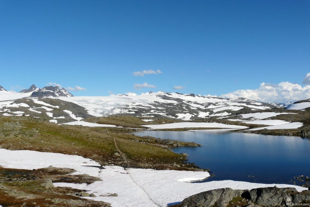 Sognefjellsvegen (Rv55)