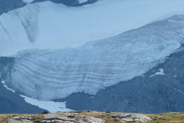 Sognefjellsvegen (Rv55)