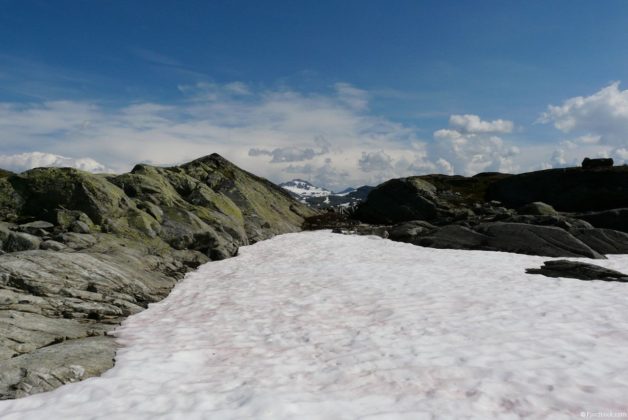 Sognefjellsvegen (Rv55)