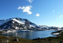 Sognefjellsvegen (Rv55)