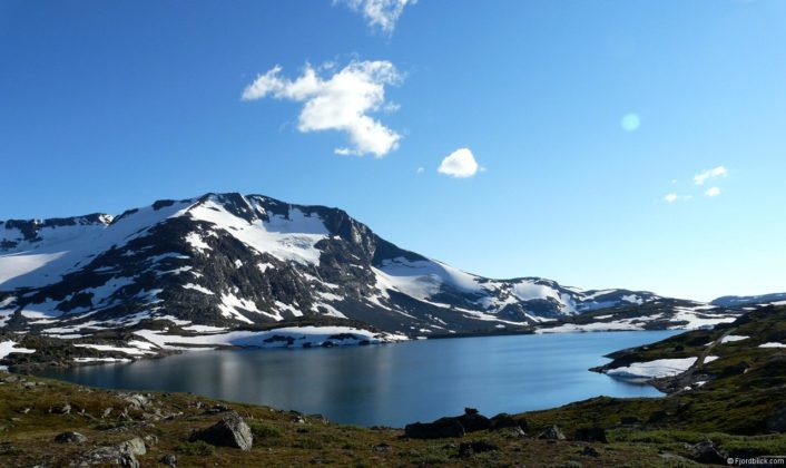 Sognefjellsvegen (Rv55)