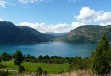 Blick auf den Lustrafjord