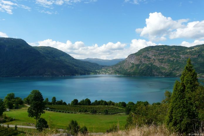 Blick auf den Lustrafjord Blick auf den Lustrafjord