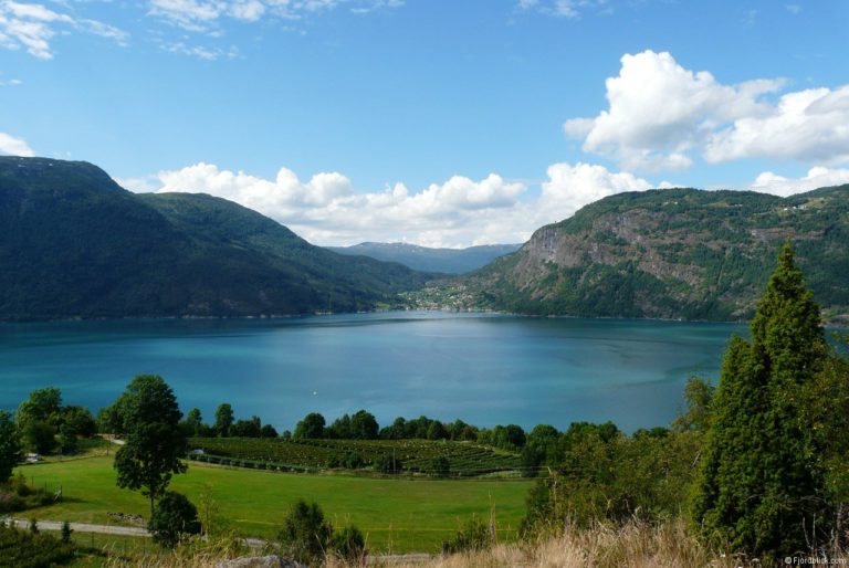 Blick auf den Lustrafjord